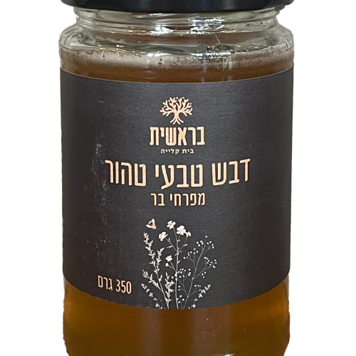 צנצנת דבש בראשית